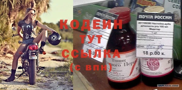крисы Касимов