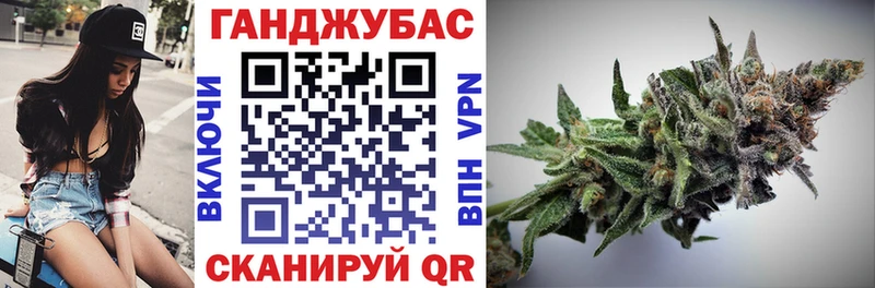 Купить  Дмитриев  Конопля SATIVA & INDICA 
